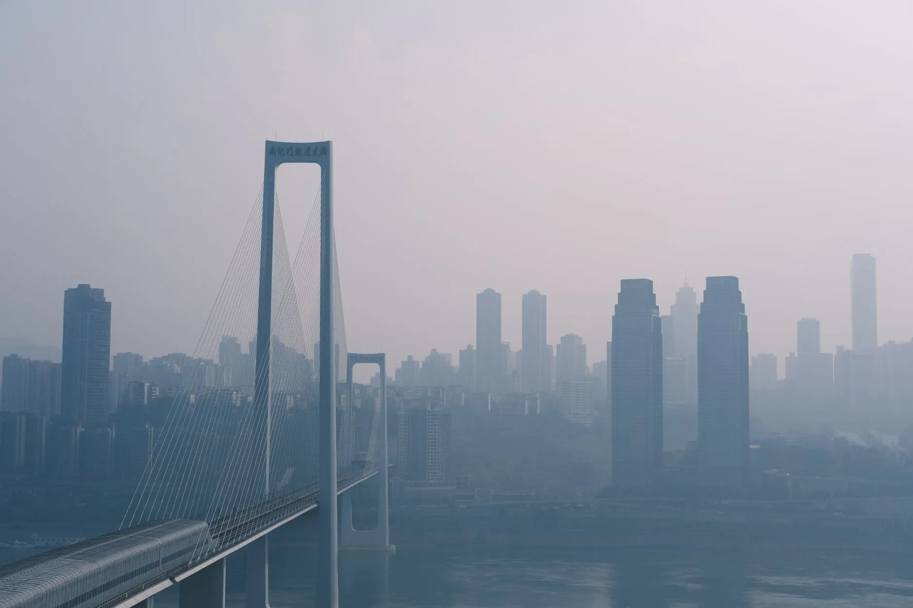 资产管理视角下企业孵化与业务扩张的协同策略